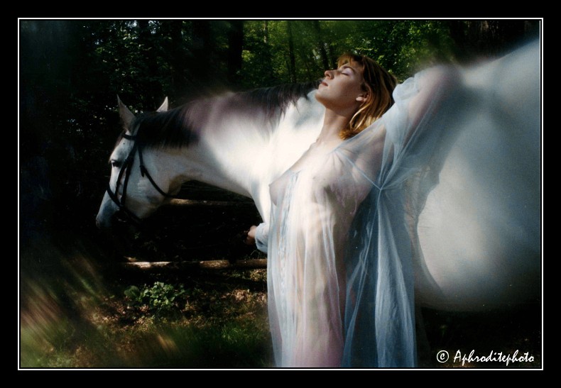 002 Le cheval aime 2